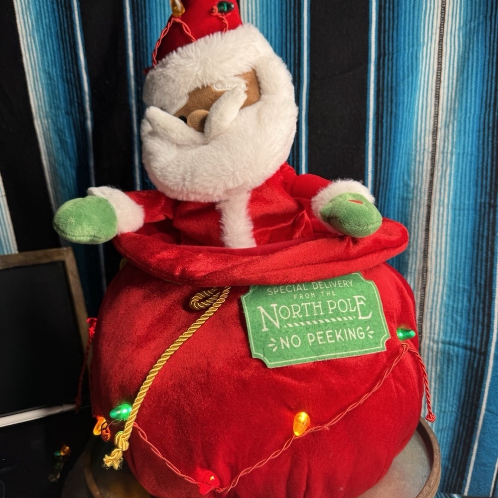 Wondershop Animated Santa Musical, Light up, Dancing Santa in the Toy Bag